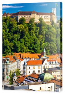Panoramiczny widok na Lublanę