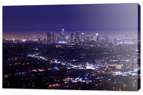 Los Angeles Night Skyline