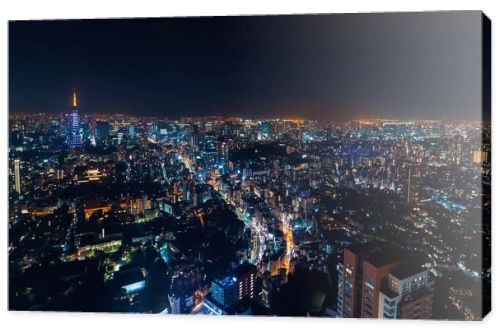 Aerial view of Tokyo, Japan