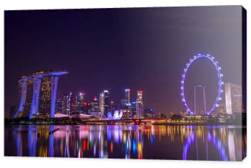 Singapore at Night and Reflection