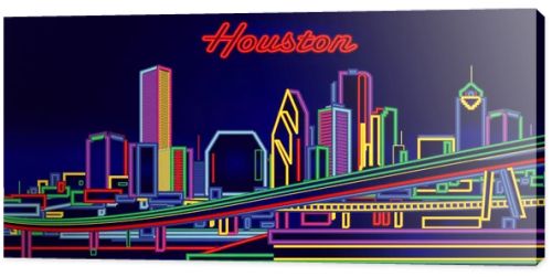 Houston Texas Neon Signs night skyline