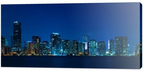 Miami skyline night panorama