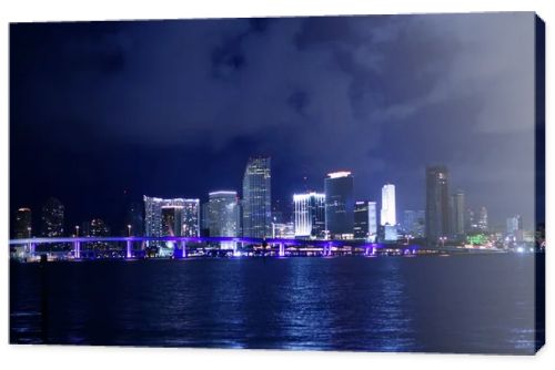 Miami downtown night water city reflexion