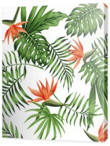 strelitzia orange white background pattern