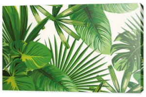 Tropikalne zielone liście bezszwowe białe tło
