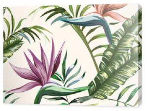 Piękne wielobarwne egzotyczne tropikalne kwiaty strelitzia i zielona palma bananowa pozostawia bezszwowy wektor wzór na białych półdupkach