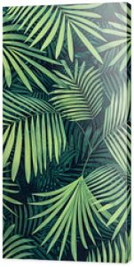 tropical  background