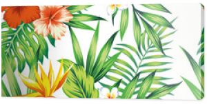 Tropical plants seamless pattern white background