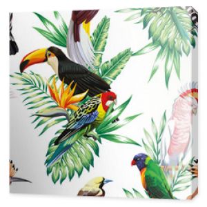 parrot maccaw and toucan on branch