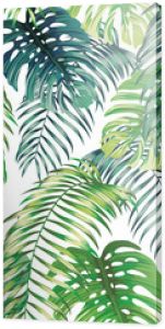 Botaniczny zielony wzór pozostawia paproć i Monstera na białym tle Egzotyczny wzór tapety