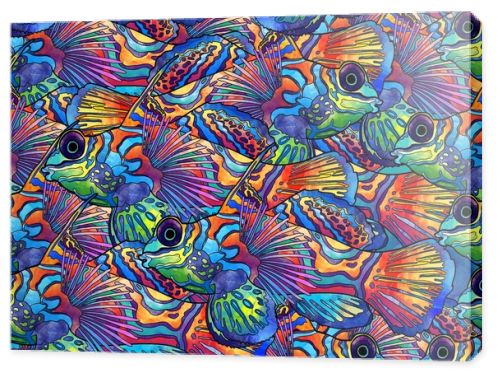 Beautiful tropical fish