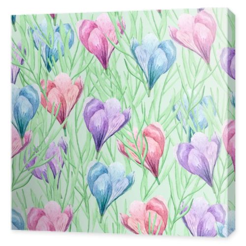 Spring blooming of crocuses on the field. For decoration of postcards, print, design works, souvenirs, design of fabrics and textiles, packaging design, invitation, wrapping, packaging, print