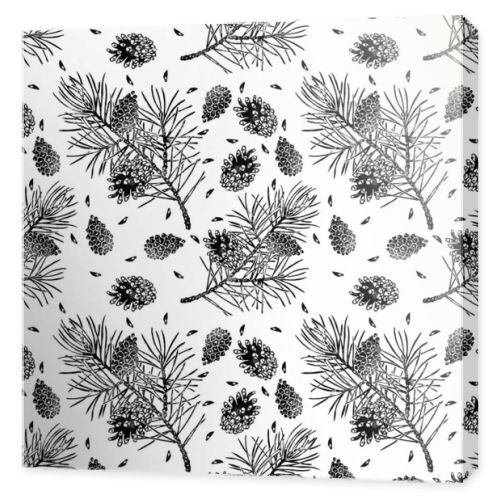 Pine seamless pattern isolated on white. Pinus sylvestris branch, cone, seed.