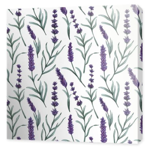 Watercolor lavender seamless pattern. Hand drawn floral background.