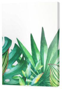 Background with watercolor tropical plants. Useful for design of banners, cards, greetings, invitations and many others.