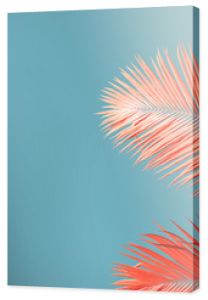 Living Coral color of the Year 2019. Background with palm in trendy color