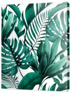 Tropical seamless pattern with exotic monstera, banana and palm leaves on white background.