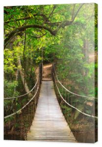 Most do dżungliPark Narodowy Khao YaiTajlandia