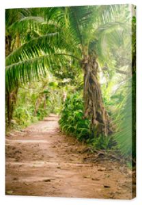 Zmielona wiejska droga po środku tropikalnej dżungli