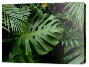 Zielone liście tropikalne Monstera palmowa paproć i rośliny ozdobne tło tło