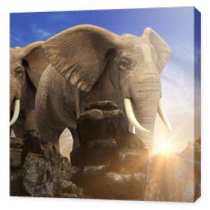 Słonie o zachodzie słońca renderowania 3d