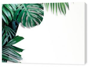 Baner z tropikalnymi liśćmi na białym tle z miejsca na kopię
