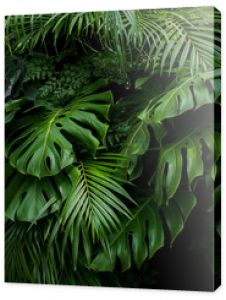 Zielone tropikalne liście paproci Monstera i liści palmowych, liście roślin tropikalnych, krzew, układ kwiatowy na ciemnym tle n