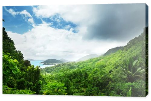 jungle of seychelles island