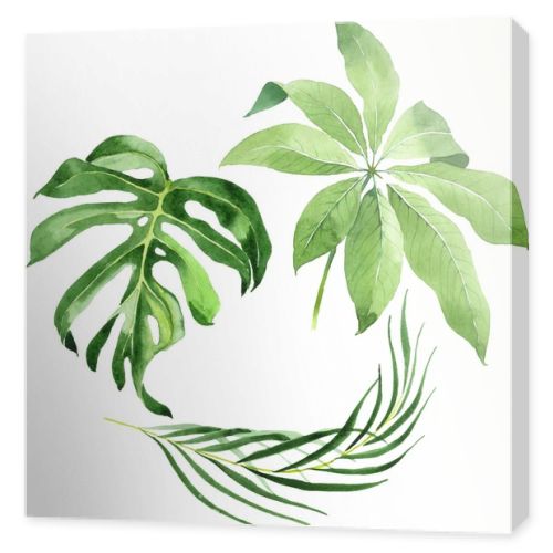 Exotic tropical hawaiian green palm leaves isolated on white. Watercolor background set. 