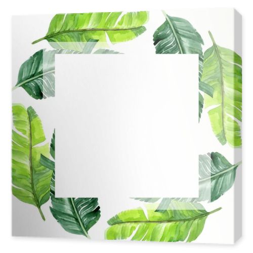 Exotic tropical hawaiian palm tree leaves isolated on white. Watercolor background illustration set. Frame ornament with copy space.