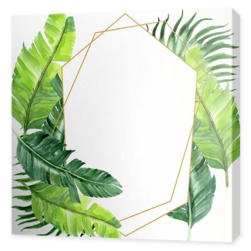 Exotic tropical hawaiian palm tree leaves isolated on white. Watercolor background illustration set. Frame ornament with copy space.