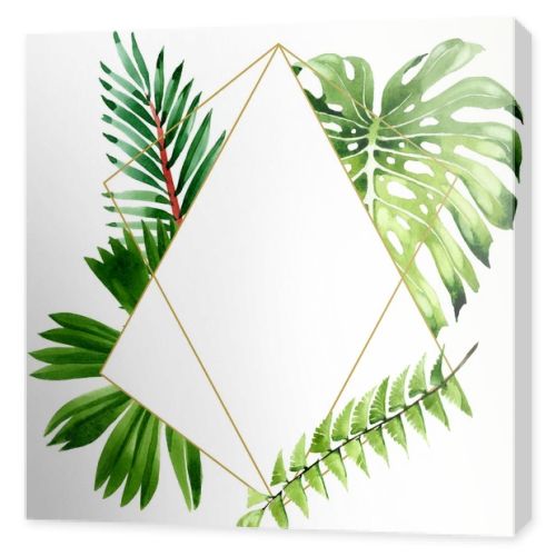 Palm beach tree leaves jungle botanical. Watercolor background illustration set. Frame border ornament square.