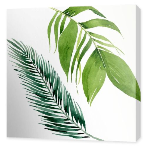 Palm beach tree leaves jungle botanical. Watercolor background illustration set. Isolated leaves illustration element.