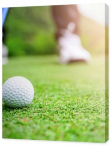 Zbliżenie piłki golfowej na polu zielonej trawy