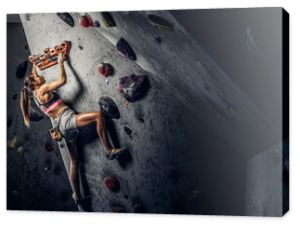 A young woman wearing sportswear practicing rock-climbing on a wall indoors