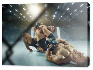 Hot atmosphere. Two professional fighters posing on the sport boxing ring. Couple of fit muscular caucasian athletes or boxers fighting. Sport, competition and human emotions concept.