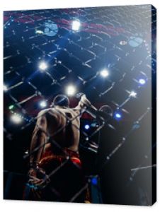 Zwycięskie bitwy bokserskie bez zasad boksu MMA wymagają kontrastu i monochromatycznej tonacji kolorów. Reklama sportowa tonująca
