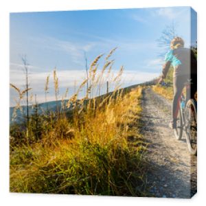 Kobieta na rowerze górskim jedzie na rowerze latem w górach, leśnym krajobrazie Kobieta na rowerze MTB flow trail track Aktywny sport na świeżym powietrzu