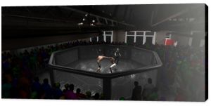 View from ceiling of cage mma fight with crowd and reffere 3d render