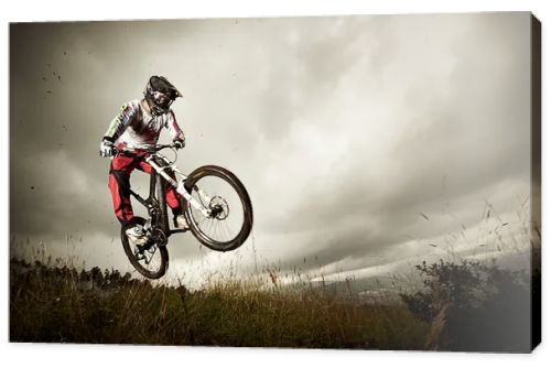 Young man riding a mountain bike downhill style