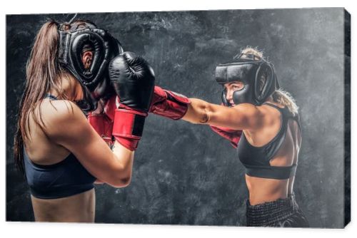 Fight between two professional female boxers