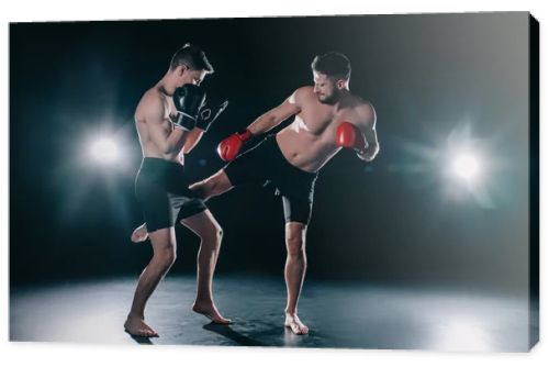 shirtless muscular mma fighter in boxing gloves kicking another in leg