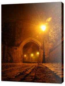 Illuminated cobbled street in an old town with light reflections on cobblestones, large archway