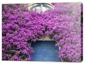 Italian Building with Flowers Close Up