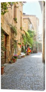 Quaint street lined with plants outside historic buildings in the medieval old town of Orvieto, Umbria, Italy