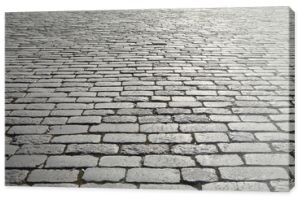 Old cobblestone pavement.