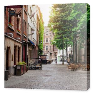 Stara ulica historycznego centrum Antwerpii Antwerpia Belgia Przytulny pejzaż Antwerpii Architektura i punkt orientacyjny Antwe