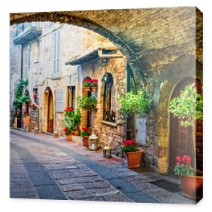 Urocze stare średniowieczne wioski Włoch z typowymi kwiatowymi wąskimi uliczkami Asyż Umbria