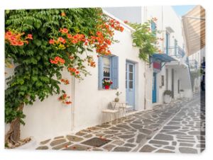 View of a typical narrow street in old town of Parikia, Paros island, Greece