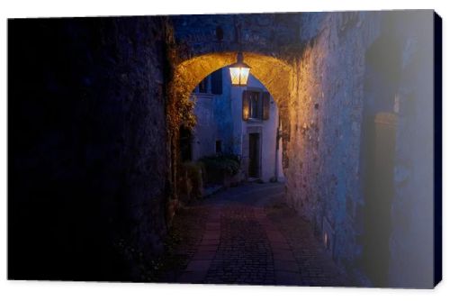 The landscape of Saint-Saphorin at night. The village located in the Swiss canton of Vaud, on the shore of Lake Geneva (Lac Leman), in the district of Lavaux-Oron.